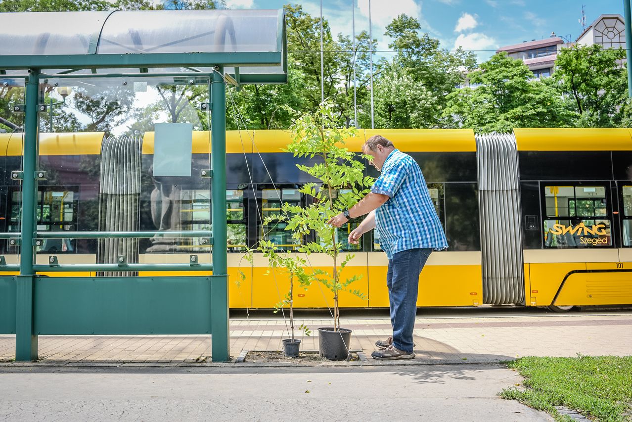 Szeged