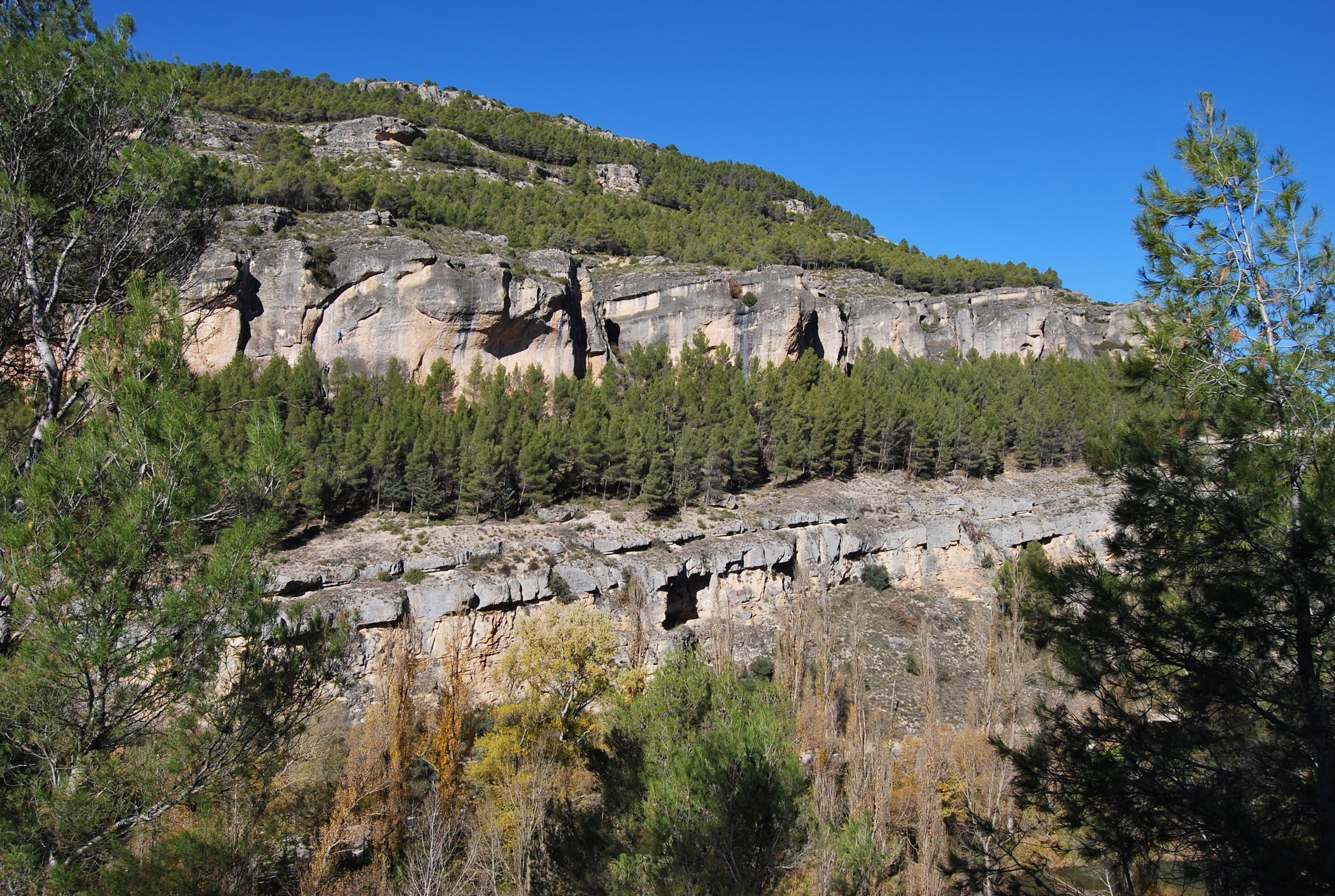 forests_Cuenca