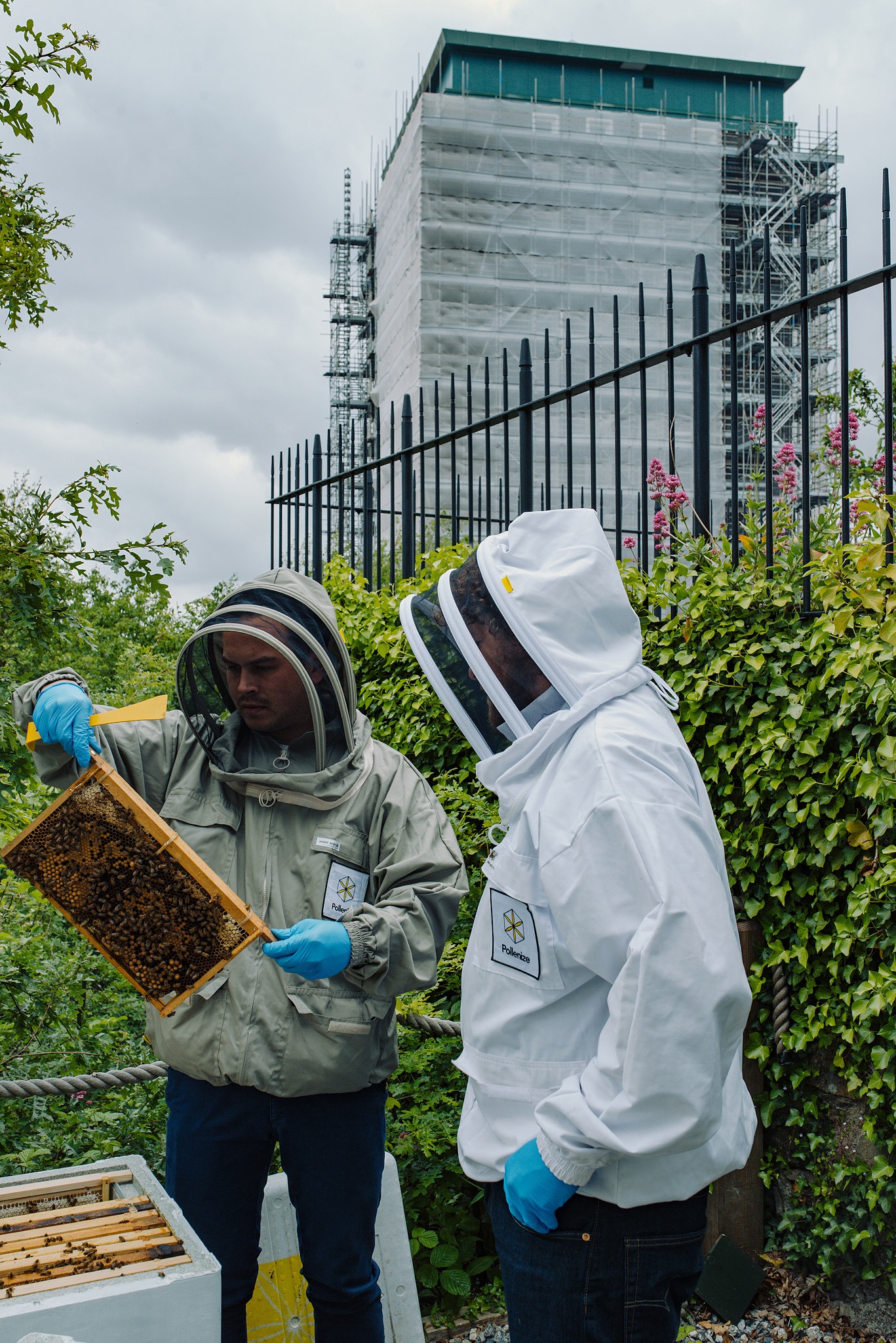 Pollenize Apiary