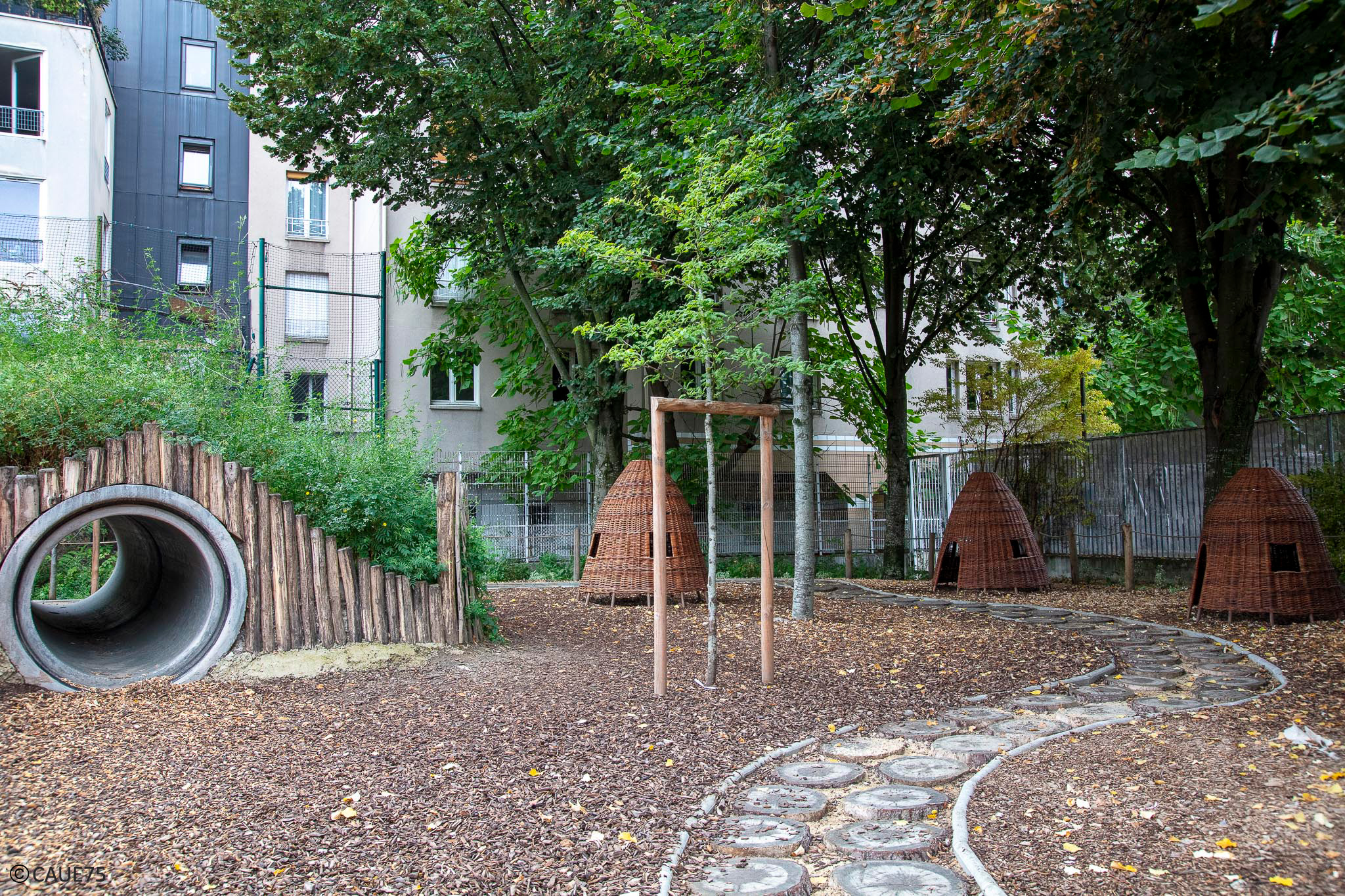 OASIS Schoolyard image