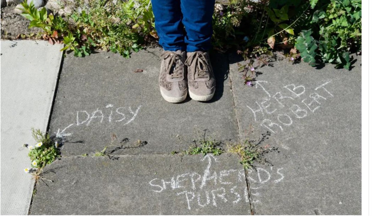 Rebel Urbanists