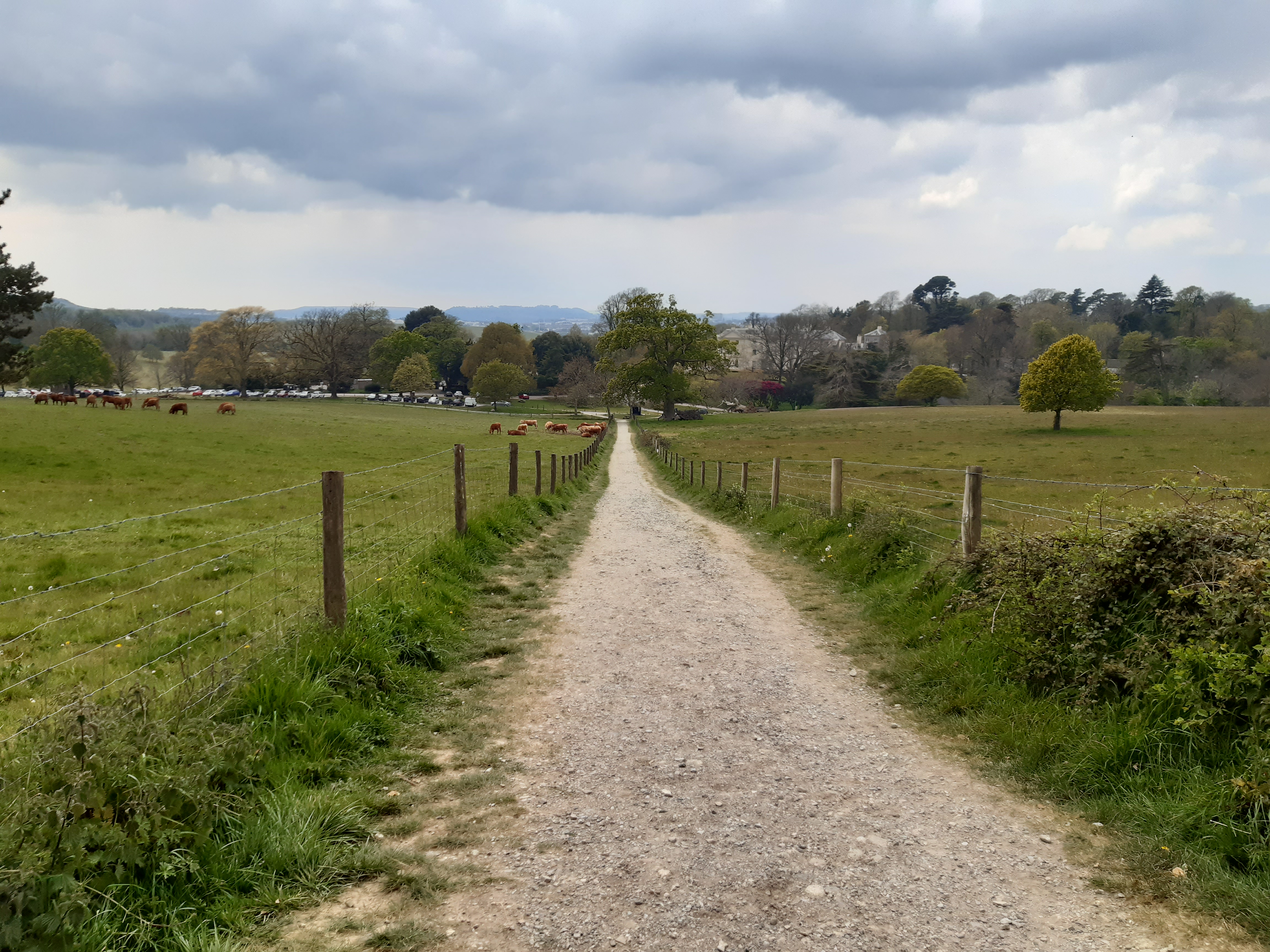 Saltram Park