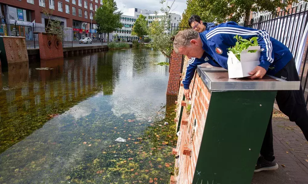 Checking vegetation grow on the walls of the small-scale pilot