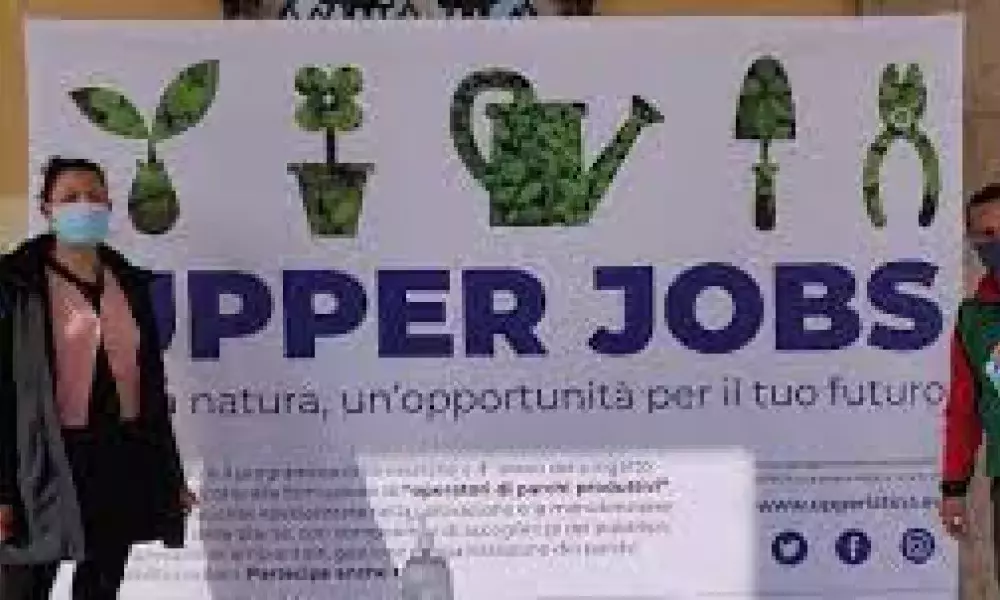 Upper Jobs