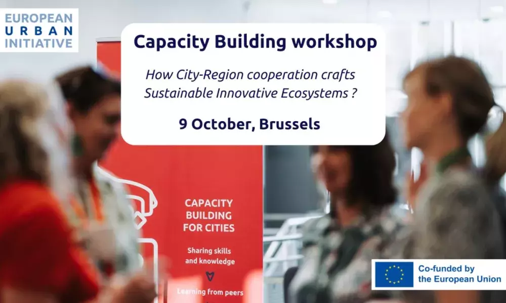 EUI-Capacity Building.jpg EUI