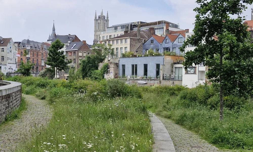 REWILD_City_of_Ghent, Belgium