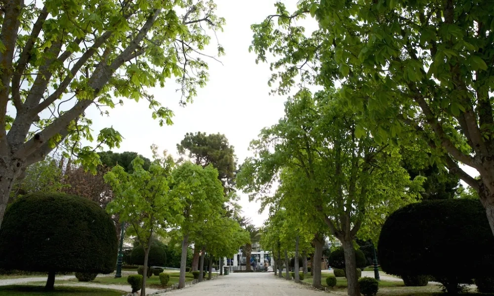 NEW_EPOCH_Municipality of Kifissia