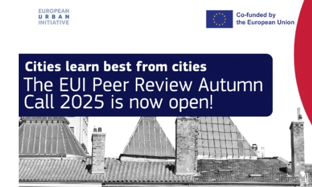 EUI Peer Reviews