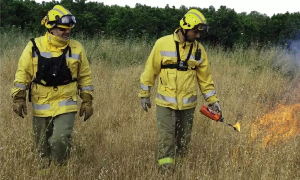 Prescribed fire Prescribed fire