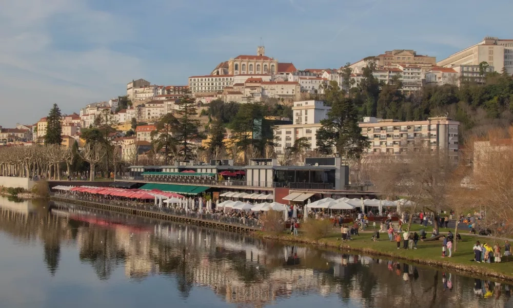 COIMBRA ST LLM