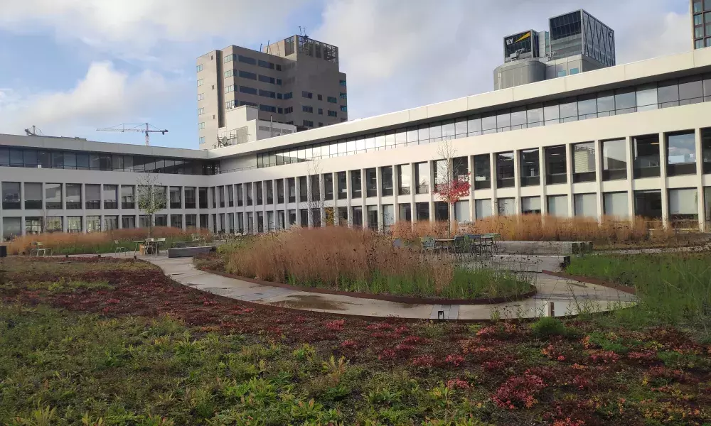 BG roof on a roof top at an office block in the Amsterdam Zuidas area. (photo: Leon Kapetas) A smart blue-green roof at an office block in the Amsterdam Zuidas area