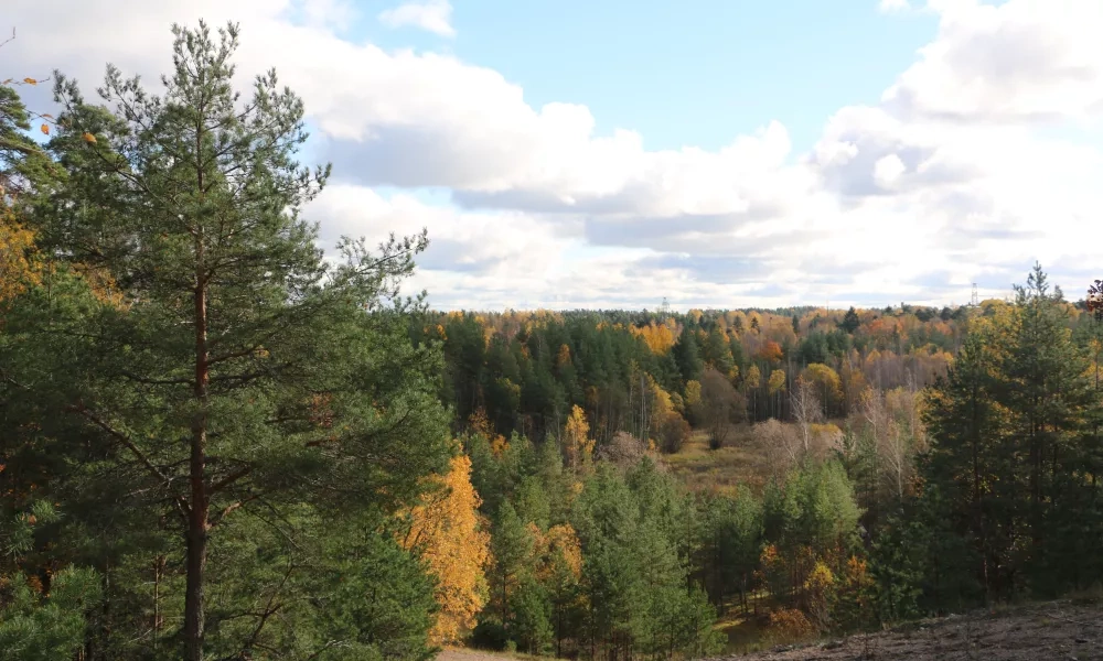 Skanssin biodiversiteettipuisto, Anna Paulus