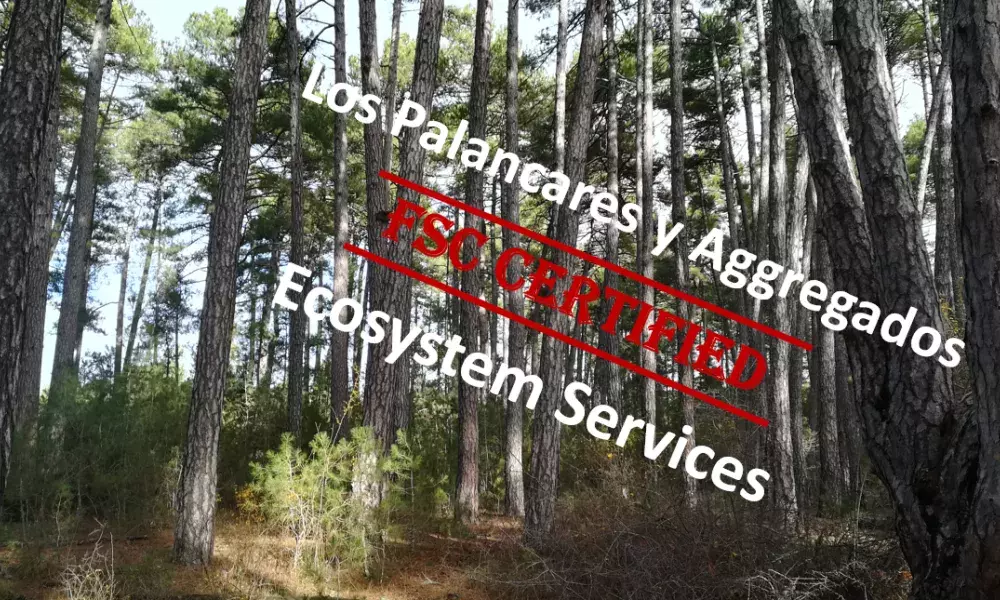 The first public forest in the region to be certified for ecosystem services The first public forest in the region to be certified for ecosystem services