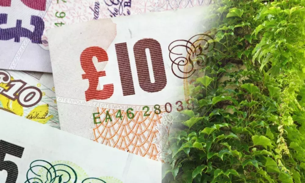 generic image with money and vegetation