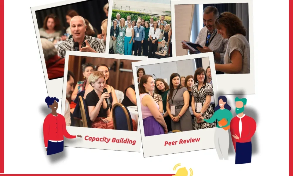 PR 2025 FR.png Peer review 2025