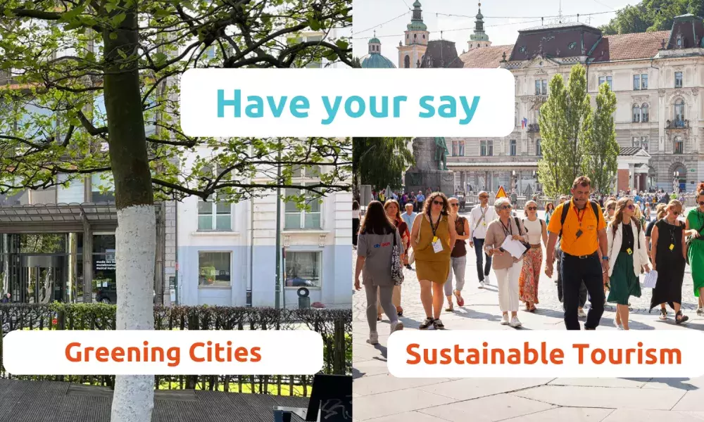 Public Consultation.png Public Consultations