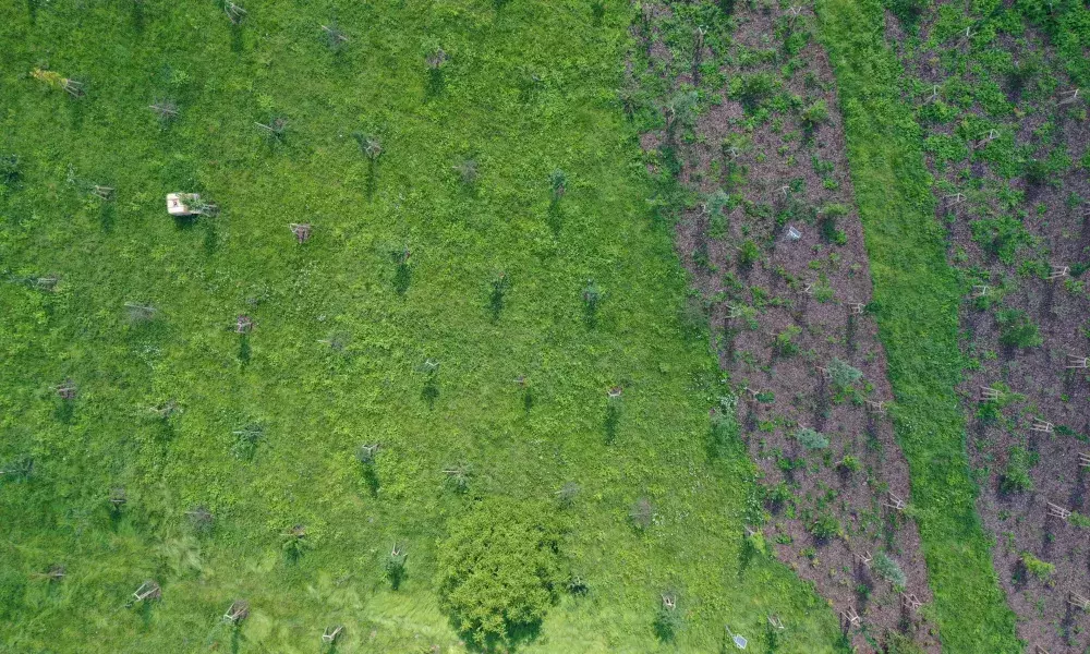 Radvanice target area from drone view