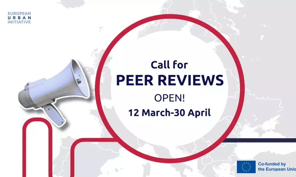 EUI Peer Reviews call 2024