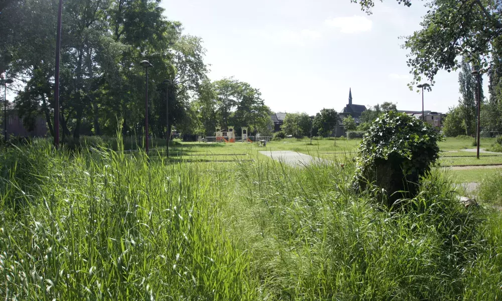 Parc des Mârets Seraing - A Place to Be-Come project