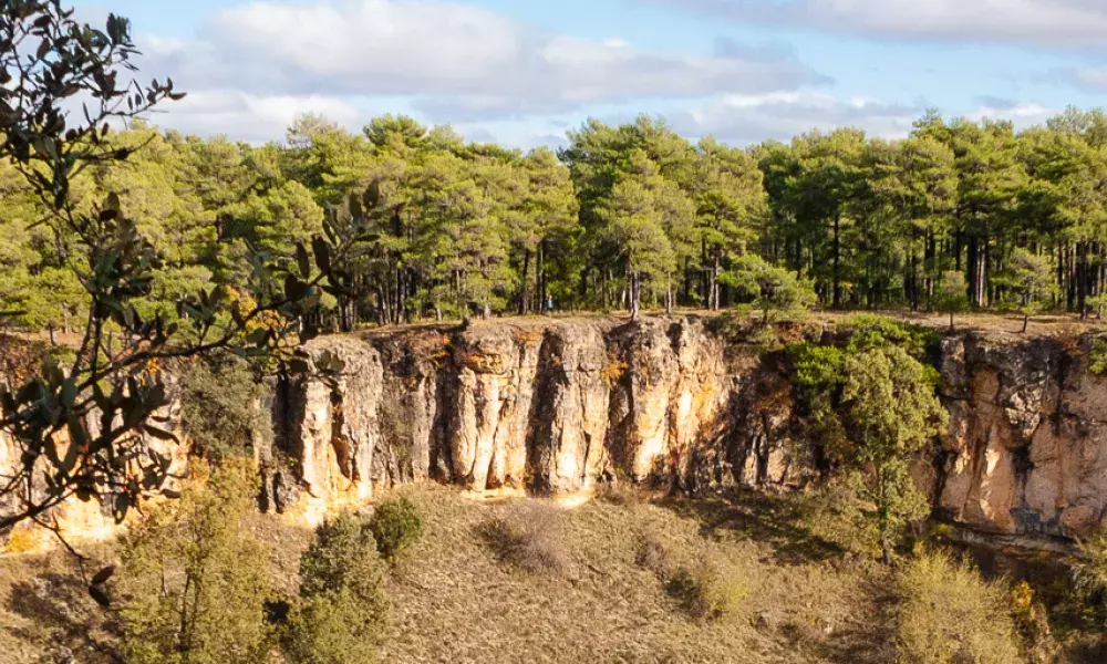 Forests of Cuenca