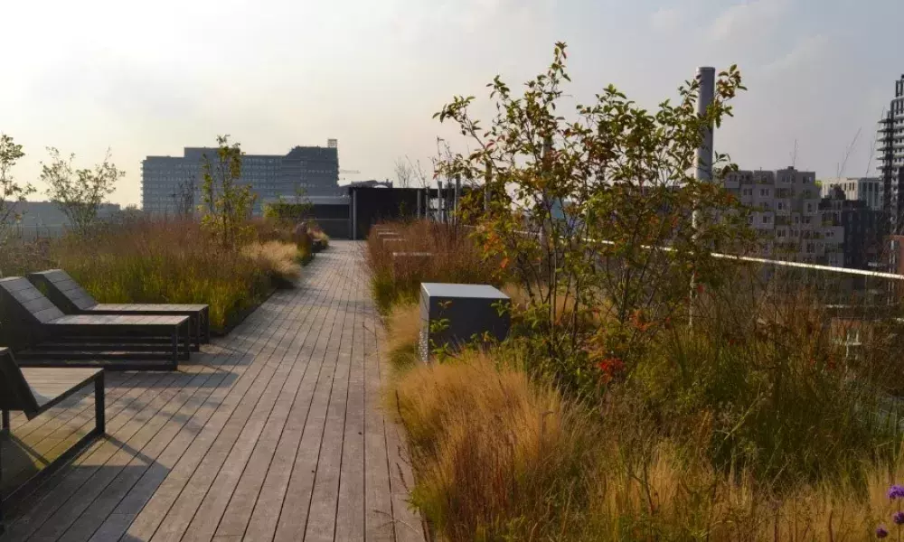 A smart blue-green roof at an office block in the Amsterdam Zuidas area (photo credits: De Dakdokters)