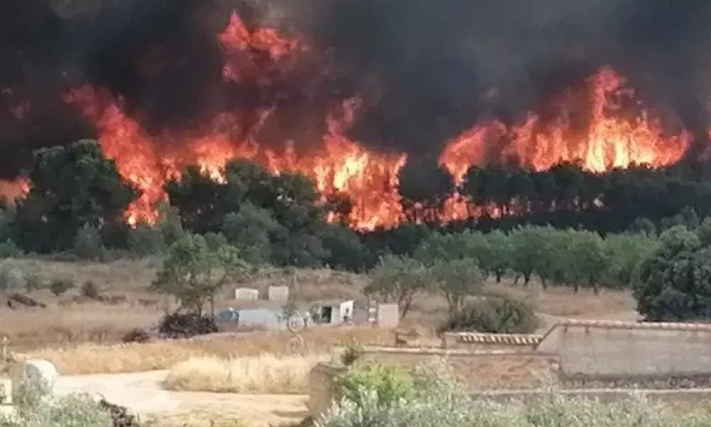 Wildfire in Venta del Moro, 4th July 2022
