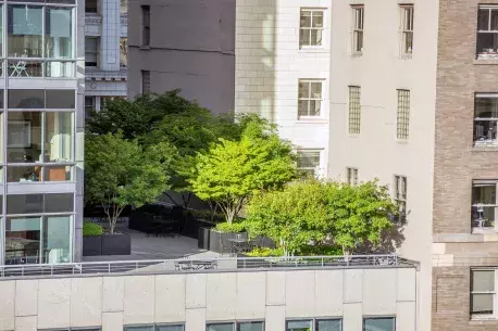 Clairo greenery roof - Air Quality