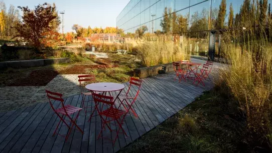 Green roof garden in Vítkovice district in Ostrava (Source: ZeS)