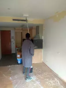 Adolescent renovating flat