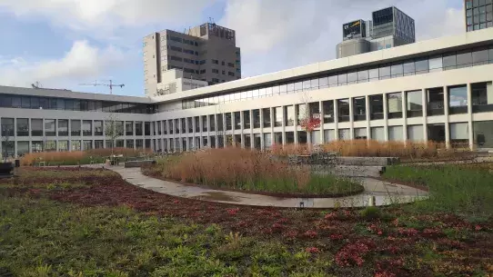 A smart blue-green roof at an office block in the Amsterdam Zuidas area