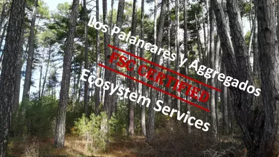 The first public forest in the region to be certified for ecosystem services