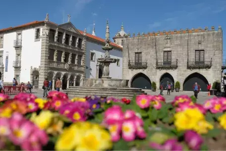 Cover photo Viana Starts