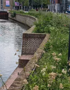 The green Quays now