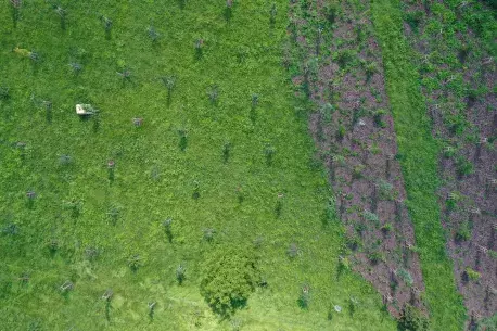 Radvanice target area from drone view