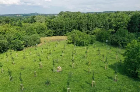 Radvanice target area from drone view