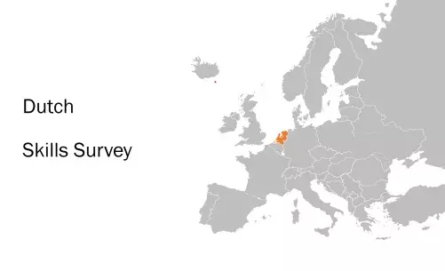 Dutch Skills Survey Dutch Skills Survey