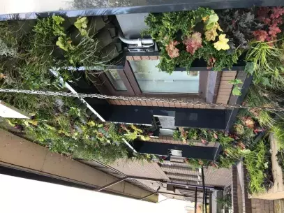 green wall in the raingarden