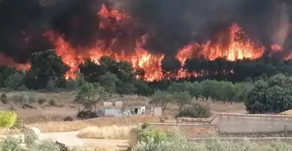 Wildfire in Venta del Moro, 4th July 2022