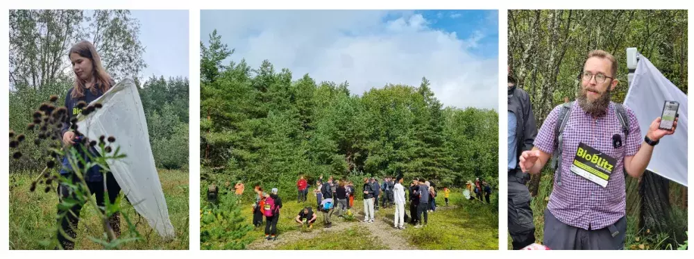 BioBlitz fieldwork