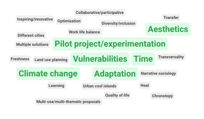 Main issues at stake for Time2Adapt's partners