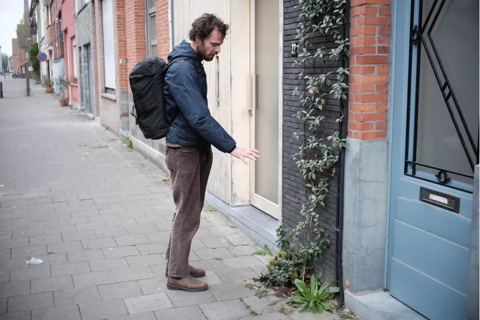 The Ghent Environmental Front knows what plants thrive under what conditions.