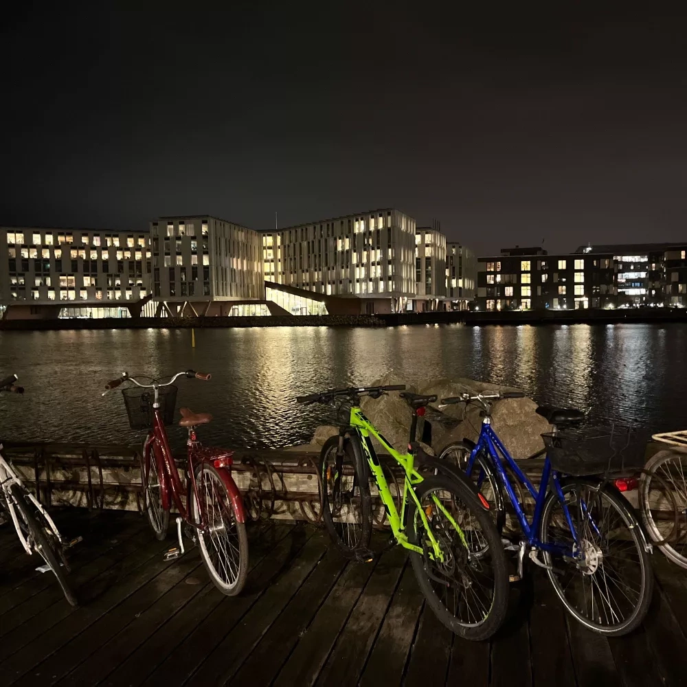 night view with bicycles, the sea and buildings