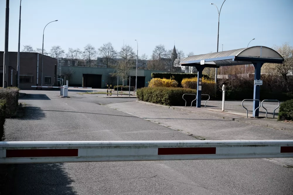 This former industrial site will be turned into a REWILDened park. Photo: Johannes Riegler