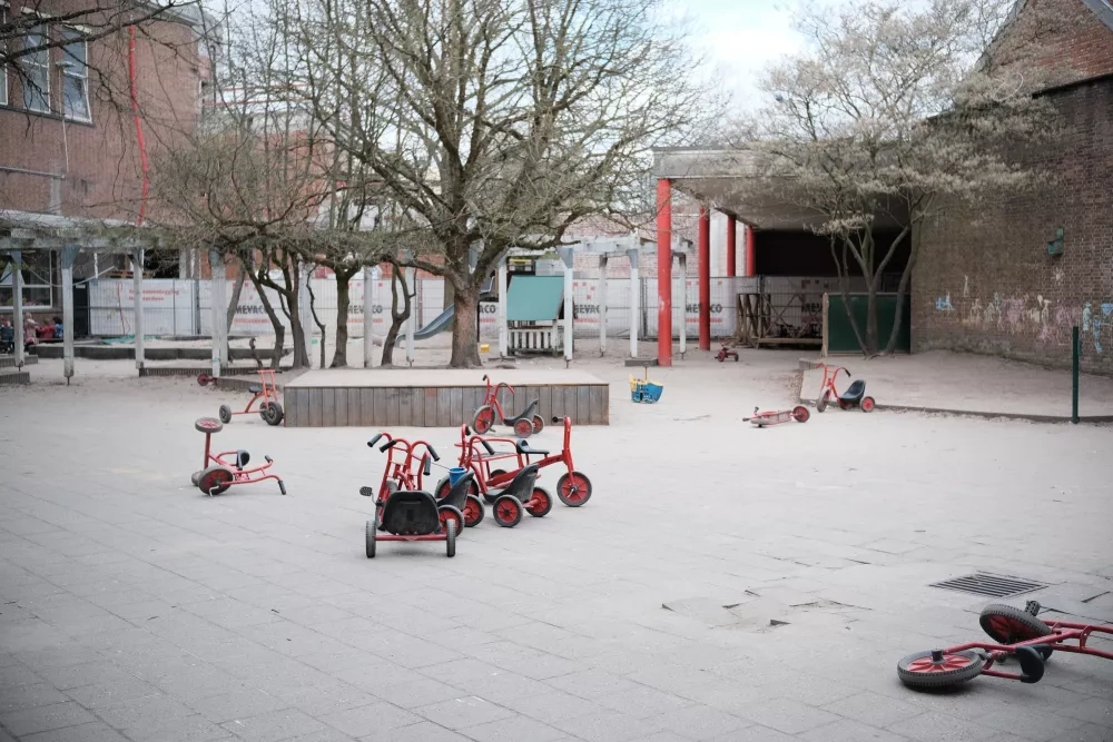The schoolyard of Jenaplanschool De Kleurdoos will be REWILDed in the next years. Photo by Johannes Riegler.