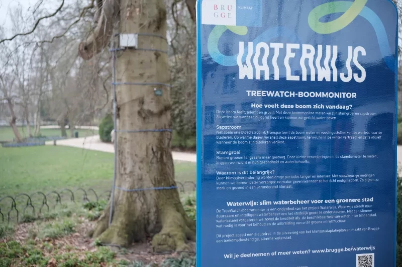 The first tree sensor (background) with an info sign for Blue4Green (Waterwijs is the local name of the project). Photo by: Johannes Riegler