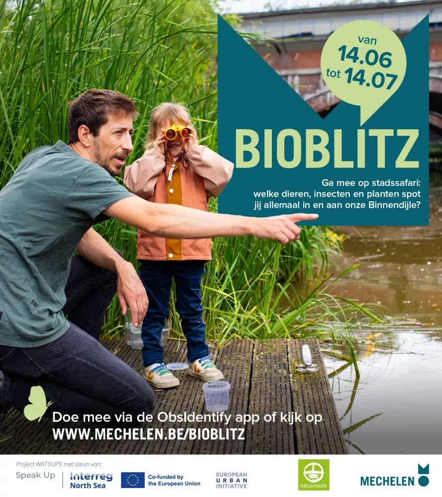 Promotion for the bioblitz in Mechelen belgium