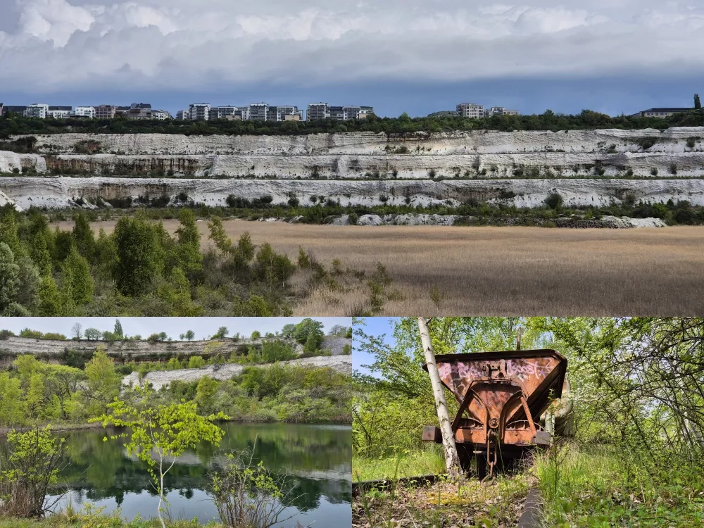 Limhamn Lime Quarry Nature Reserve – Once a vast industrial quarry, today a thriving wildlife oasis on Malmö’s outskirts – and tomorrow? As we can see, Malmö’s urban expansion is already “lurking” in the background…