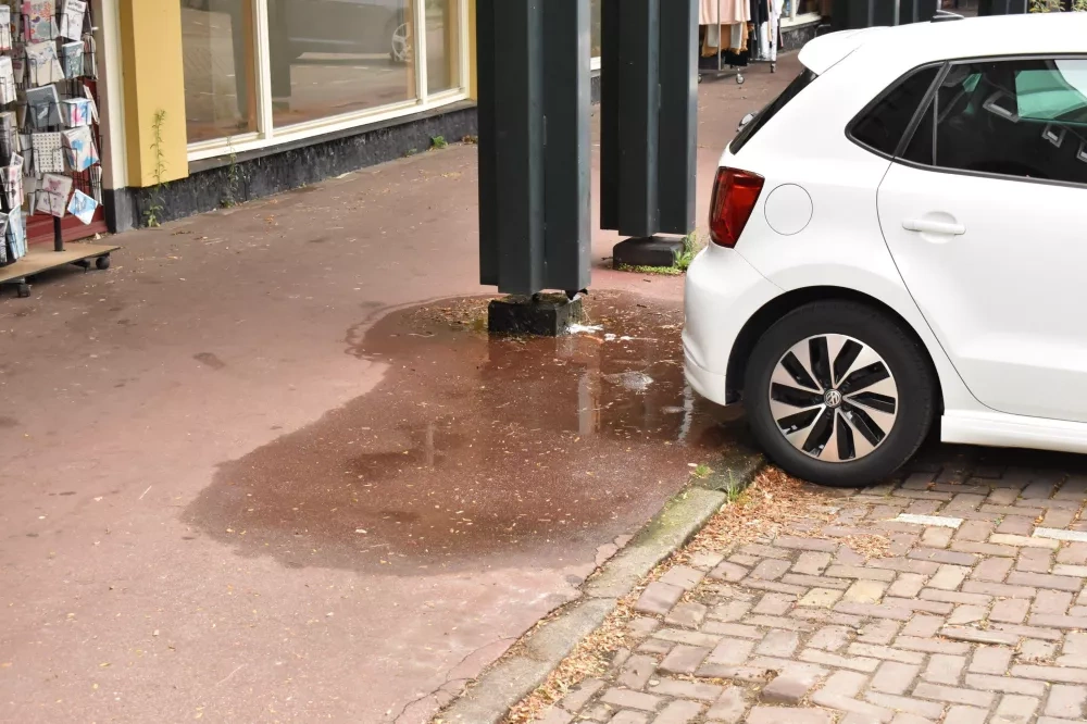 Tuindorp Oostzaan’s flooding issues © GfW