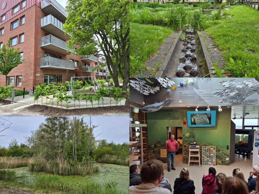 All of Malmö’s large-scale sustainability solutions are both impressive and inspiring—Segepark (top left), Augustenborg (top right), Riseberga Bäck (bottom left), and the Marine Education Centre (bottom right).