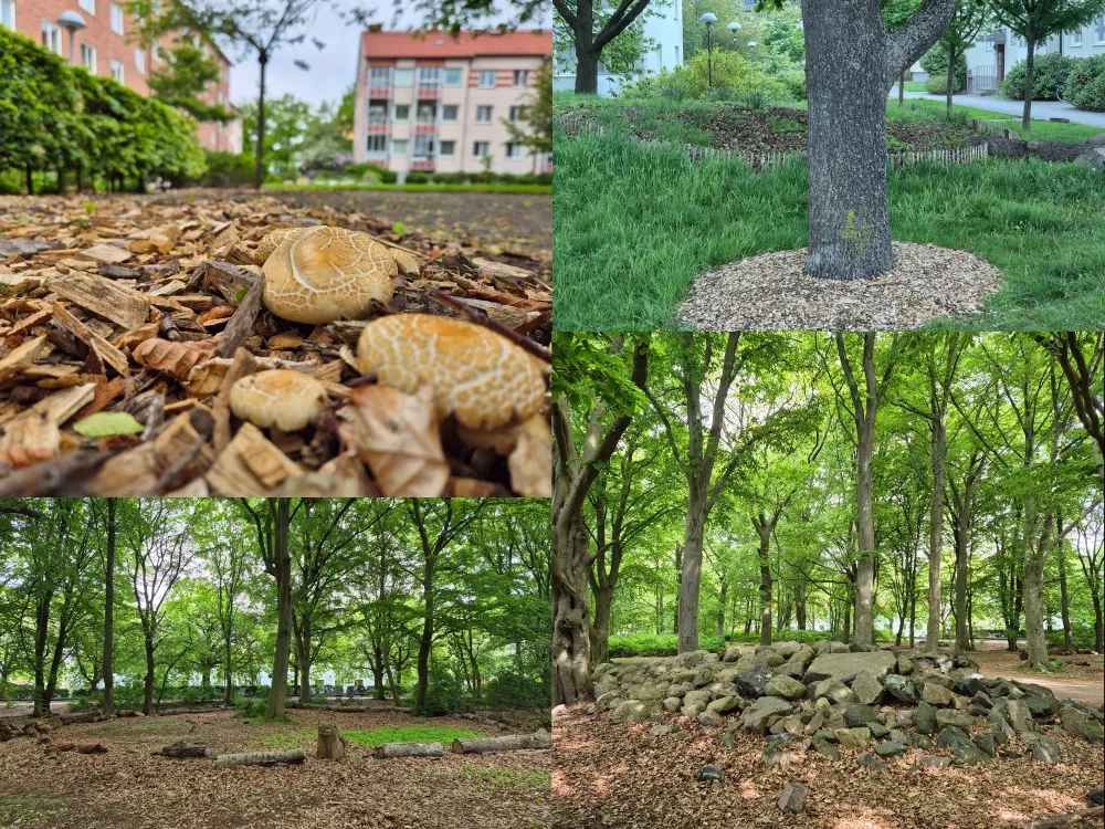 It was small scale solutions – Micro urban forest (top left), Leaf collector (top right), logs and rocks in practical use (bottom pictures) – that draw most attention and interest from the participants.